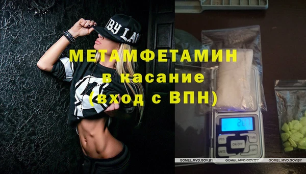 прущие грибы Бежецк