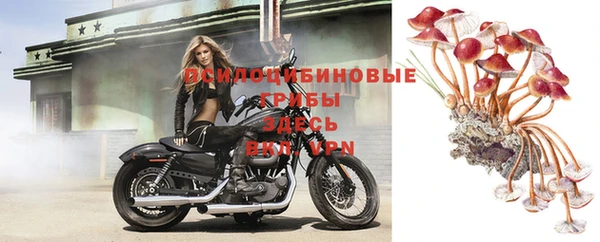 герыч Нефтекумск