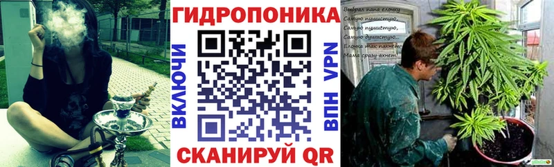 Канабис гибрид  Фёдоровский 